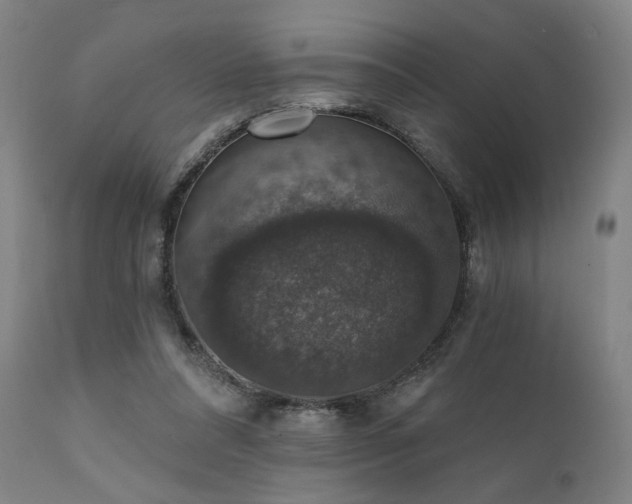 X0000111800304200907231217