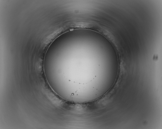 X0000111800305200907231217
