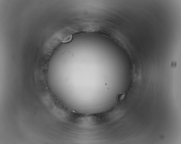 X0000111800307200907231216