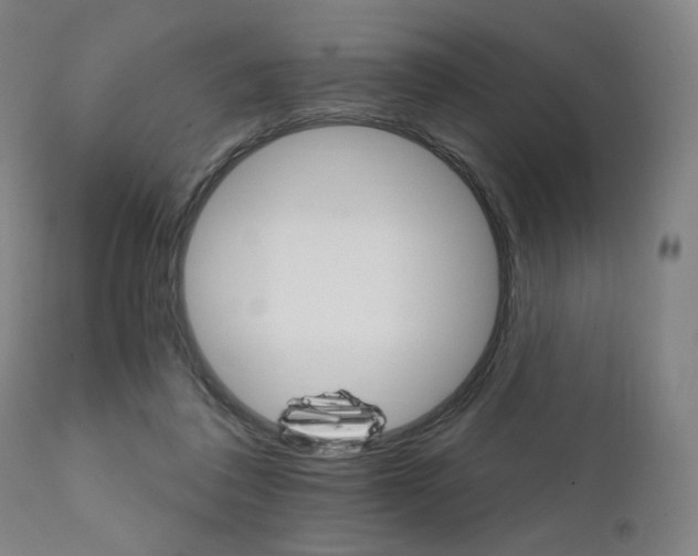 X0000111800308200907231216