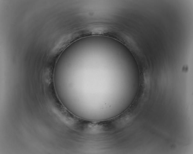 X0000111800311200907231216