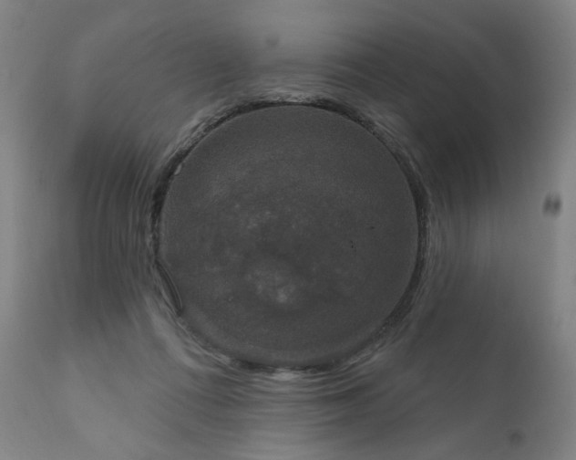 X0000111800312200907231216
