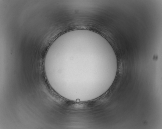X0000111800314200907231216