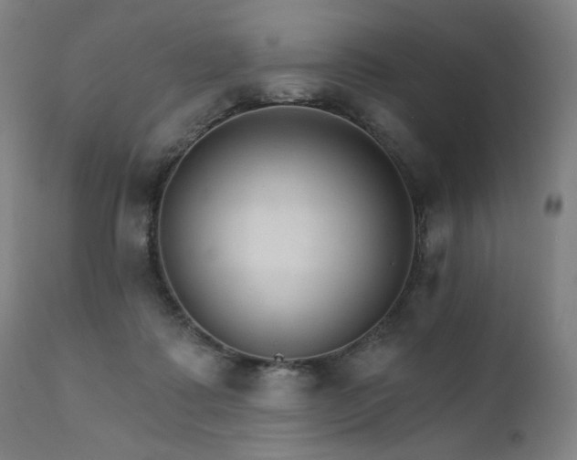 X0000111800315200907231216