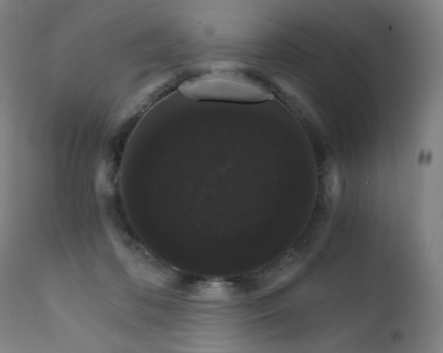 X0000111800316200907231216