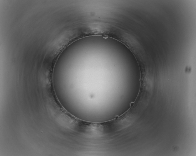 X0000111800317200907231216