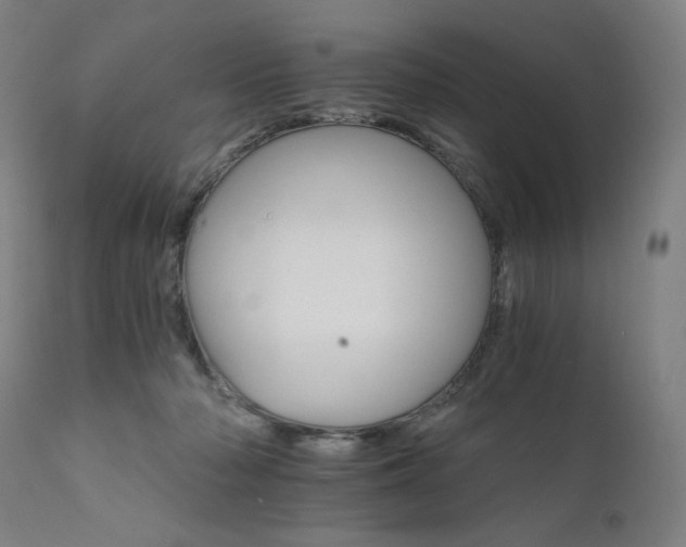 X0000111800318200907231216