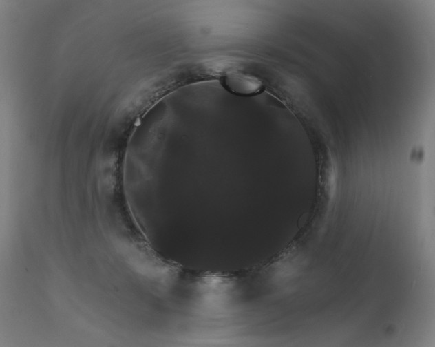 X0000111800319200907231216