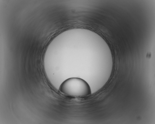 X0000111800320200907231216