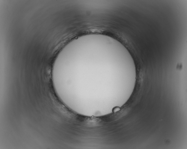X0000111800321200907231216