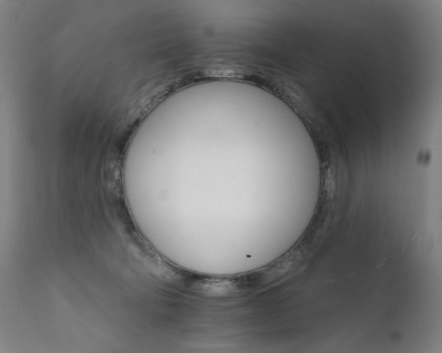 X0000111800322200907231216