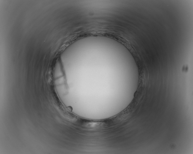 X0000111800323200907231216