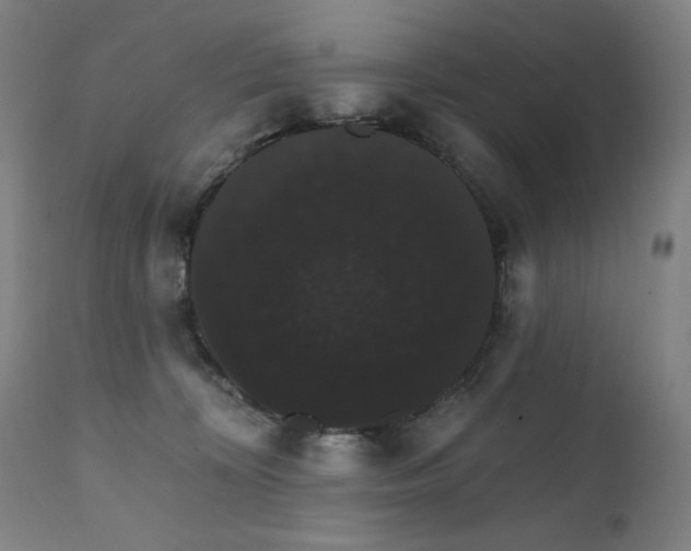 X0000111800324200907231216