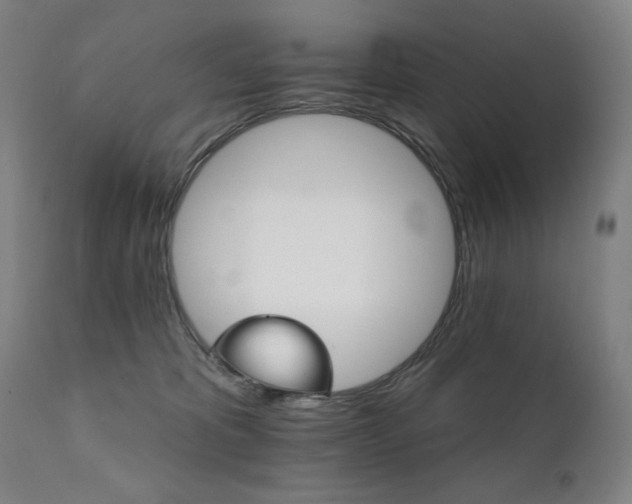 X0000111800325200907231216