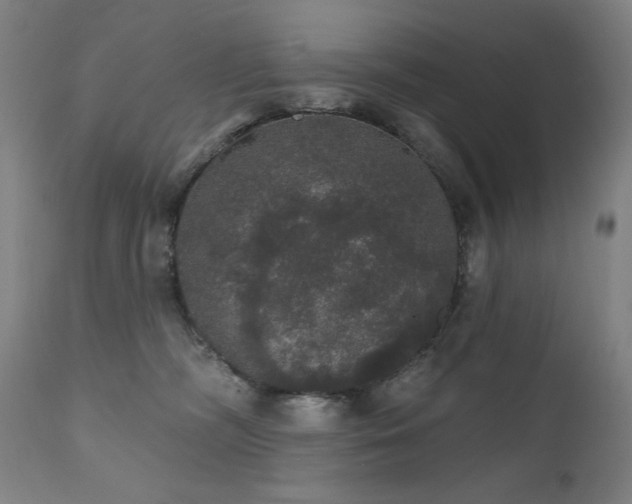 X0000111800326200907231216