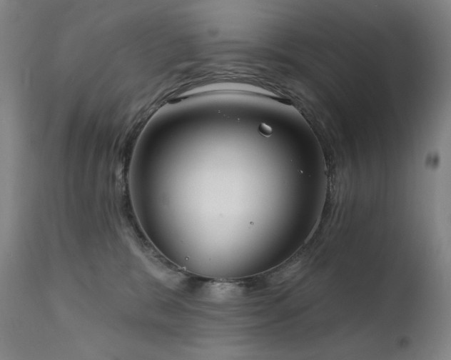 X0000111800327200907231216
