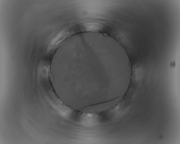 X0000111800329200907231216