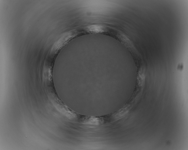 X0000111800330200907231216