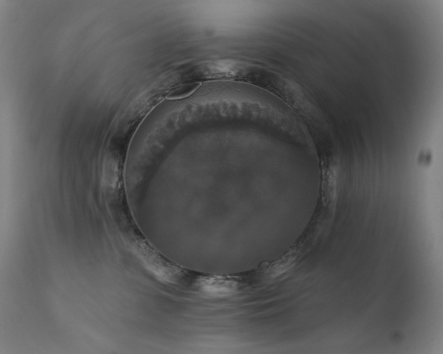 X0000111800331200907231216