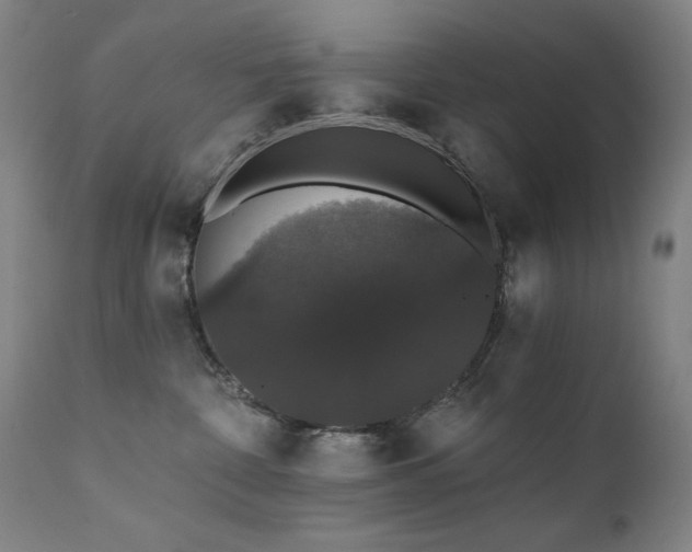 X0000111800332200907231216