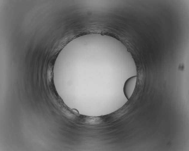X0000111800334200907231216