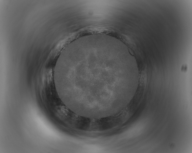 X0000111800335200907231216