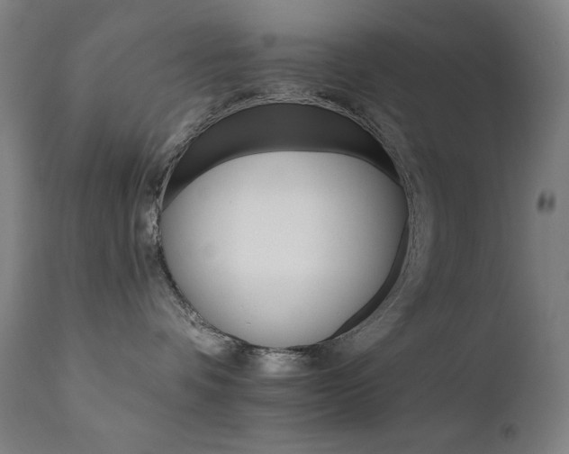 X0000111800336200907231216