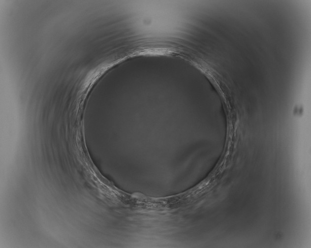 X0000111800337200907231215