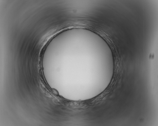 X0000111800338200907231215