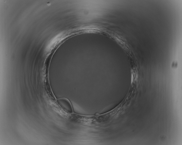 X0000111800339200907231215