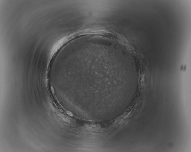 X0000111800340200907231215
