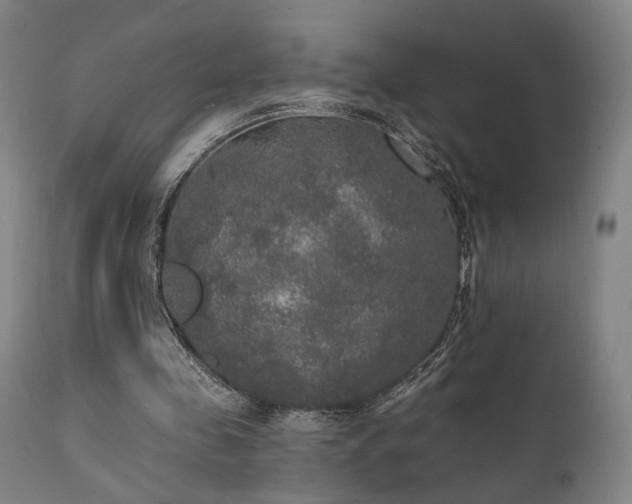 X0000111800341200907231215