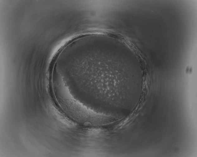 X0000111800342200907231215