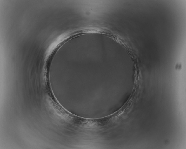 X0000111800343200907231215