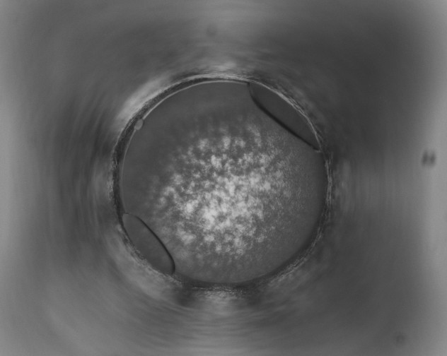 X0000111800344200907231215