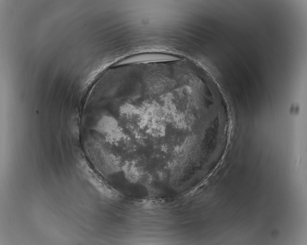 X0000111800345200907231215