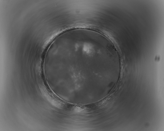 X0000111800346200907231215