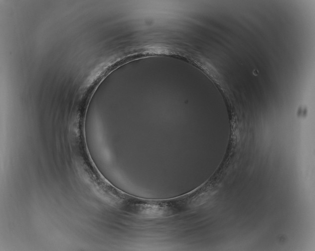 X0000111800347200907231215
