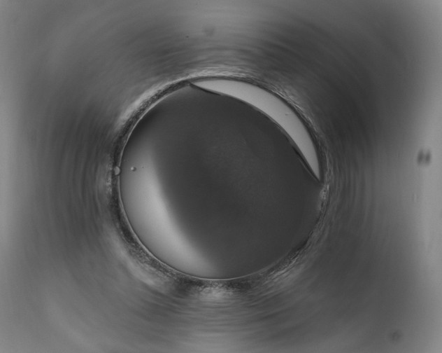 X0000111800348200907231215