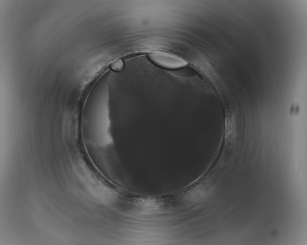 X0000111800349200907231215