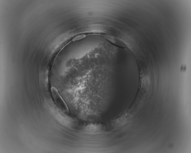 X0000111800350200907231215