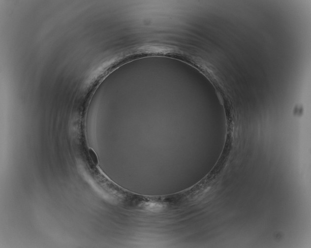 X0000111800352200907231215