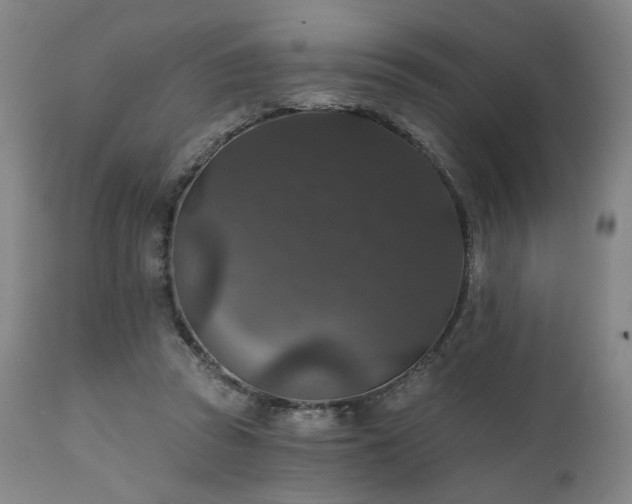 X0000111800353200907231215