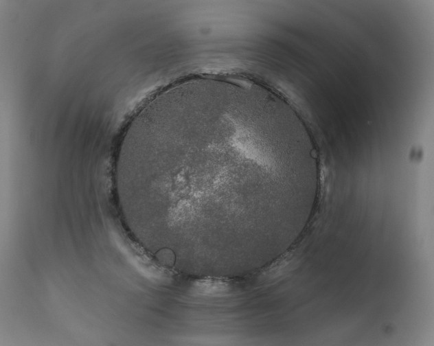 X0000111800354200907231215