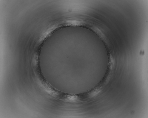 X0000111800355200907231216