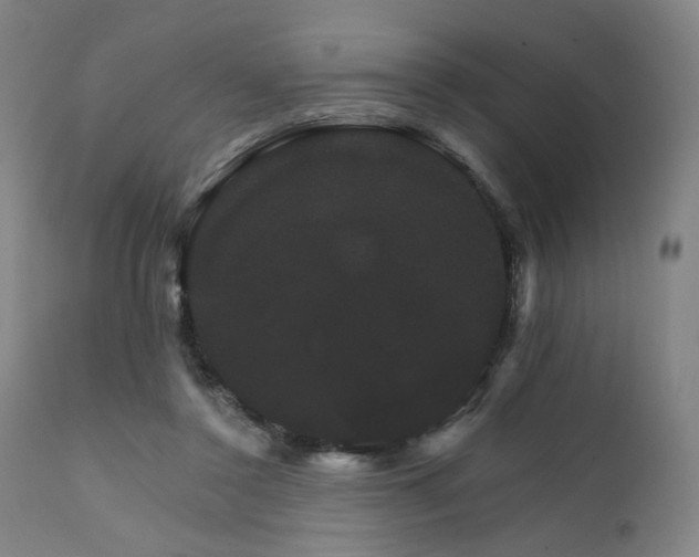 X0000111800356200907231216