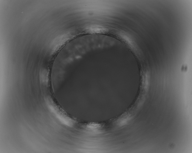 X0000111800357200907231216