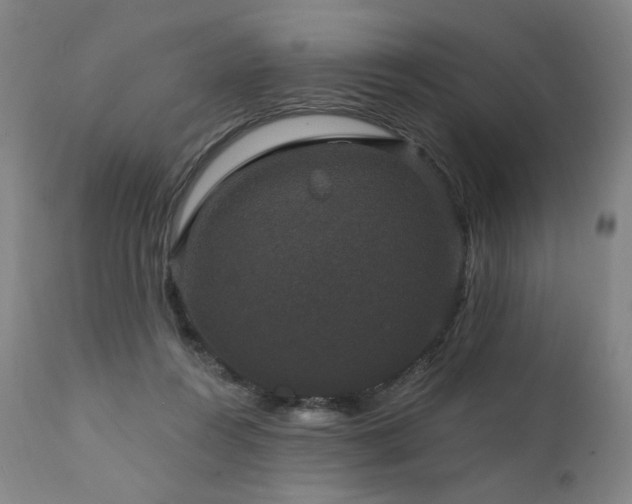 X0000111800360200907231216