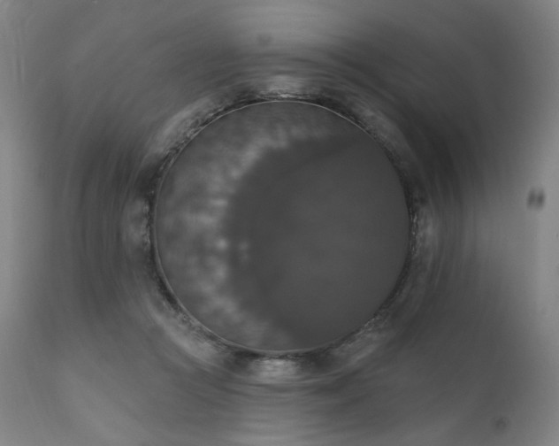 X0000111800361200907231216
