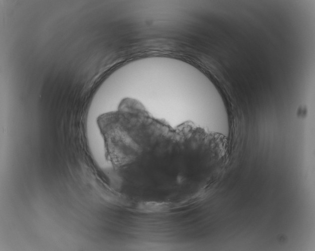 X0000111800363200907231216